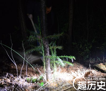 QQ截图20160115133815.png