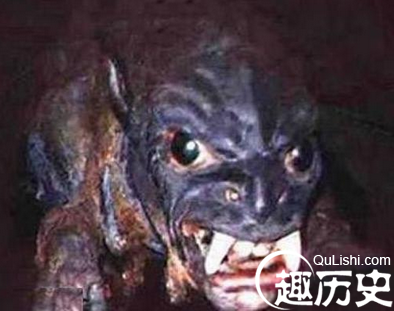 卓柏卡布拉