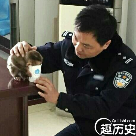 食蟹猴