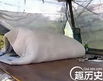 90后性侵大爷
