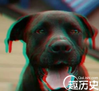 3D影像