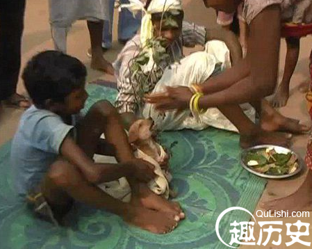 男孩被迫娶狗为妻