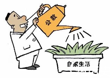 父挪公款为女整容