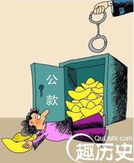 父挪公款为女整容