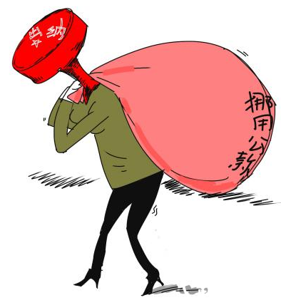 父挪公款为女整容