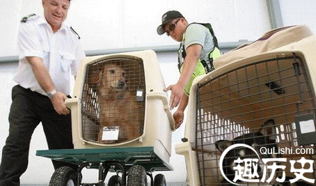 航空公司的秘密
