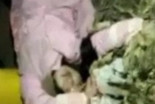 16岁情侣相约喝药自杀 女孩殒命男孩跑掉