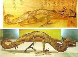 龙骨现身引发恐慌 难道我们真的是龙的传人？