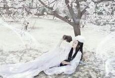 三生三世十里桃花夜华喜欢谁？夜华最后死了吗