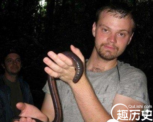 巨型蚯蚓