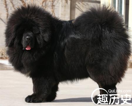 9420484_161533262107_2_meitu_38.jpg