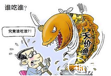 四川自贡现天价鱼
