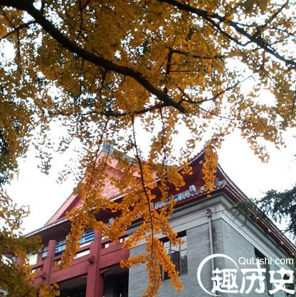 四川大学