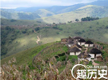 刚果河岸的热带雨林区