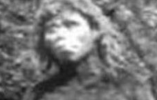 月亮山野人传说女野人曾掳走六旬老汉将其强暴