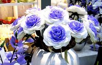 中国传统十大名花排名 中国传统十大名花的赞语