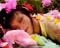 古人多妻很常见 为何湘云没被选宝二奶奶的人选