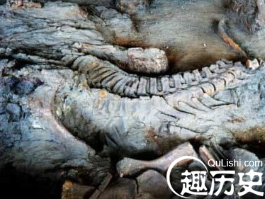 黄河透明棺材