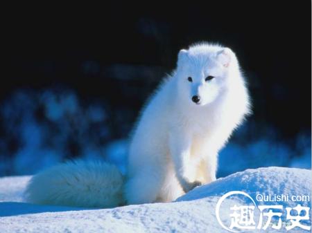 c6c97c7408893b0379f2f018d6df_800_600_meitu_19.jpg