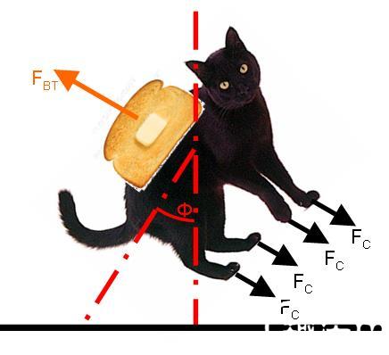 bk_e6ea9af9bc254beb186a123e35f0af19_fw3XGX.jpg