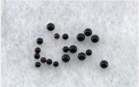 舍利子是怎么形成的 舍利子有什么作用？