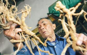 黎族医生治疗疾病一般都用什么传统方法