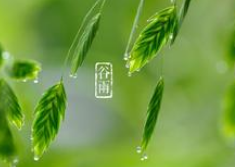 关于谷雨的习俗 谷雨的习俗有哪些