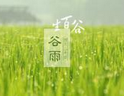 谷雨的谚语：关于谷雨的民间谚语大全
