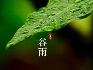 谷雨是什么意思 谷雨的由来是什么