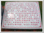 明代东莞虎门人陈益：历史上引种番薯第一人