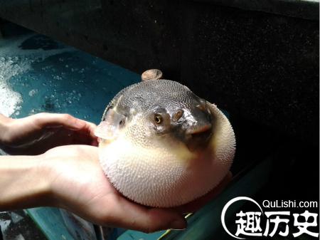 faf2b2119313b07ec2b93ba40cd7912397dd8c11_meitu_40.jpg