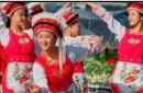 东乡族节日  东乡族的圣纪节有什么风俗习惯