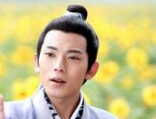 陆展元的武功怎么样？陆展元会的武功有哪些