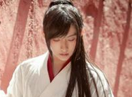 武林外史中是如何描写王怜花这一人物的？