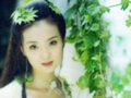 武林外史中王怜花的异母姐妹白飞飞个人简介