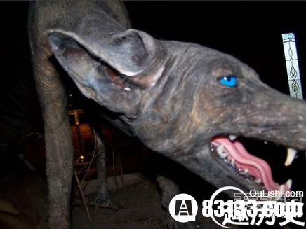 a4814af80a75fbd0dc084ee0a5b92b2a.png