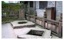 四川神奇鸳鸯井  逢端午互换清浊