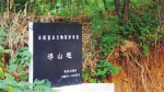 史上最荒唐的“豆腐渣”工程 让几十万百姓家破人亡