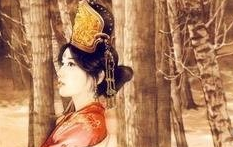 北魏孝文帝之女兰陵公主真的是被驸马打死的吗？