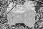 南京青龙山密林里发现塔林遗址 属于明代天宁寺