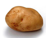 土豆有可能是由晋商从国外引入 主要种植在山西