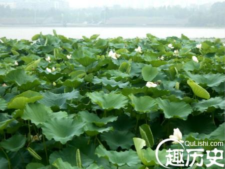 001QQ7bpgy6K5mjrjv6ac&690_meitu_13.jpg