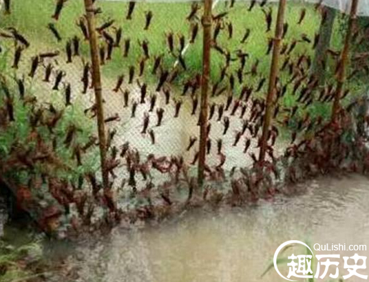 QQ截图20160718173303.png