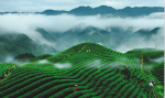 中俄万里茶道 亦为汉口茶叶由俄国转销至欧美通道