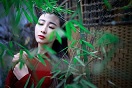 元末名妓罗爱爱是怎样的人？罗爱爱又有何结局