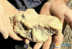 男子挖出巨大天然金块：重达4.1千克 值23万澳元