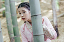 《步步惊心:丽》剧情介绍 主要讲的是什么？