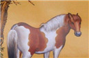 宫廷画师郎世宁凭借什么走红清宫?
