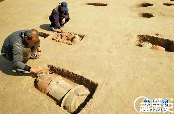 河北黄骅出土百余座瓮棺葬 墓葬形制罕见