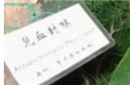 古代的剧毒药物影视剧出现的前三名